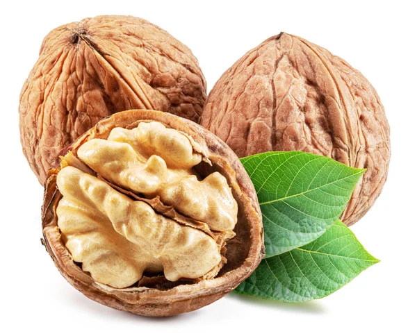 Walnuts Walnut Kernel Green Leaves Isolated White Background — Zdjęcie stockowe