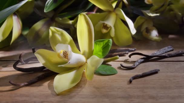 Квітка Ванільної Орхідеї Ванільними Паличками Старовинному Дерев Яному Столі Зеленим — стокове відео