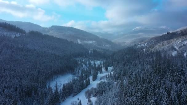 Медленное Движение Воздушного Зрения Вдоль Красивый Снежный Зимний Горный Лес — стоковое видео