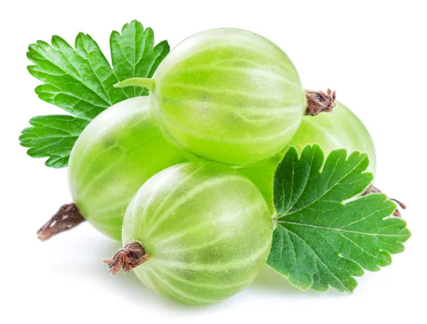 Green Ripe Gooseberries White Background Close — Stock Photo, Image