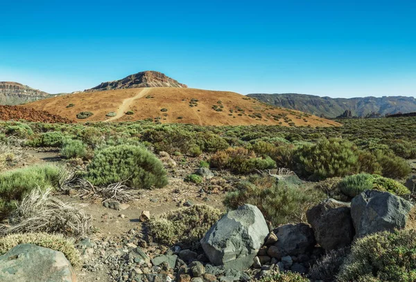 Paisagem Única Parque Nacional Teide Vista Pico Vulcão Teide Ilha — Fotografia de Stock