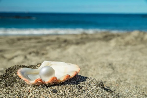 Schöne Perle Der Perlmuschel Sandstrand Meer Und Blauer Himmel — Stockfoto