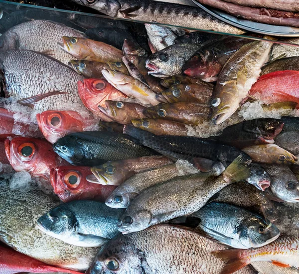 Diversity Ocean Raw Fish Fish Market Top View — Fotografia de Stock