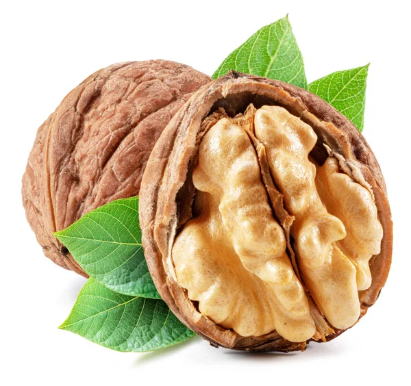 Walnuts Walnut Kernel Green Leaves Isolated White Background — Photo