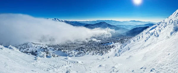Beautiful Sunny Winter Landscape Mountains Mountain Fir Trees Covered Snow — Fotografia de Stock
