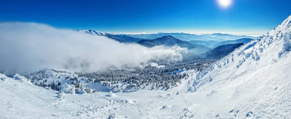 Beau Paysage Hiver Ensoleillé Dans Les Montagnes Montagne Sapins Couverts — Photo