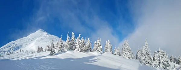 Beautiful Sunny Winter Landscape Mountains Mountain Fir Trees Covered Snow — Stock Photo, Image