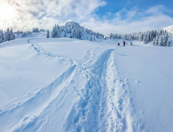 晴れた冬の日には山の中で雪の森のパノラマの風景です ウクライナのカルパティア人 ペトロス山の近く 観光客のグループがあります — ストック写真