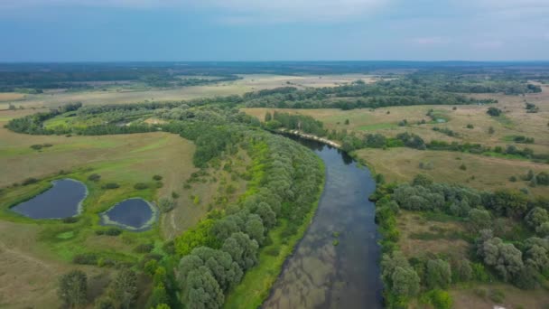 Beautiful Aerial View Video Drone Ukrainian Nature Seim River Summer — Vídeos de Stock