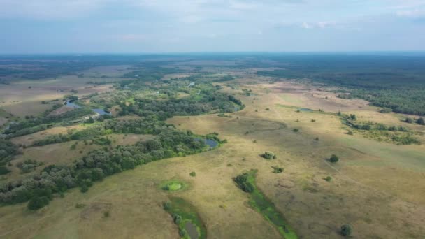 Beautiful Aerial View Video Drone Ukrainian Nature Seim River Summer — Stock video