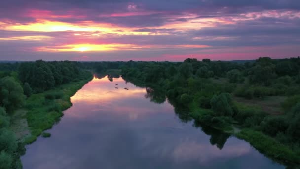 Beautiful Aerial View Video Drone Ukrainian Nature Seim River Morning — Stockvideo