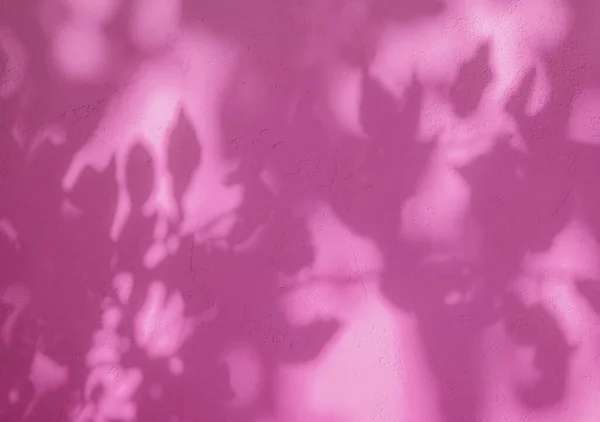 Leaf Shadows Pink Fuchsia Color Stucco Pattern Wall — ストック写真