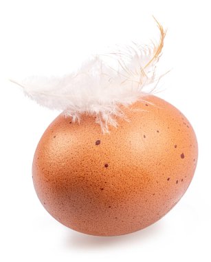 Brown chicken egg and chicken feather on its top isolated on white background.