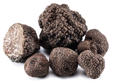 Siyah, yenilebilir, beyaz arka planda yer mantarı. Yer mantarlarının en ünlüsü..