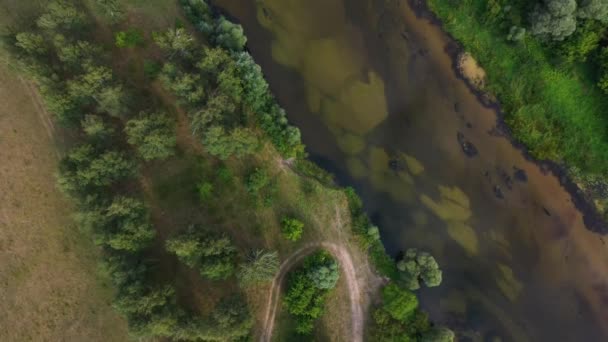 Чудовий Відеоролик Висоти Дрона Української Природи Річка Сейм Літній Сонячний — стокове відео