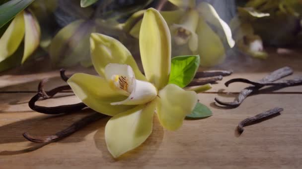Vanille Orchideenblüte Mit Vanillestäbchen Auf Einem Holztisch Mit Grünen Blättern — Stockvideo
