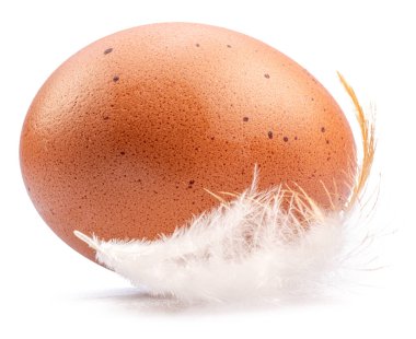 Brown chicken egg and chicken feather isolated on white background.