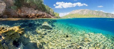 Bölünmüş manzara - güzel deniz yatağı ve kayalık kıyı şeridinin yarısı çam ağaçları, Türkiye, Bodrum.