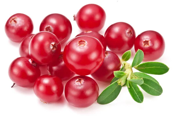 Cranberries Cranberry Leaves Isolated White Background — Stock Photo, Image