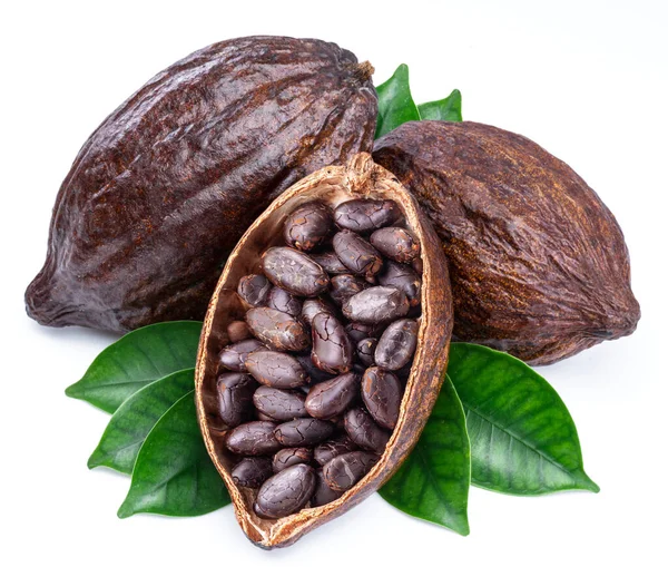 ココアの葉と白の背景に隔離された豆とココアポッド — ストック写真