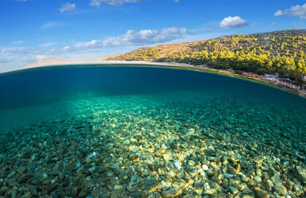 Split view - half underwater view of beautiful seabed and rocky coastline with pine trees, Turkey, Bodrum.