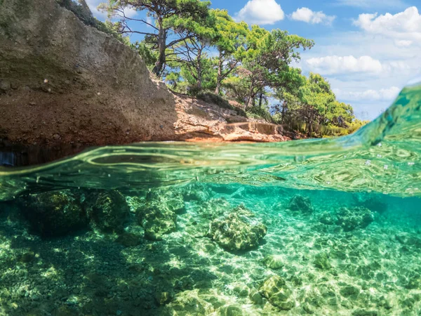 Split view - half underwater view of beautiful seabed and rocky coastline with pine trees, Turkey, Bodrum.