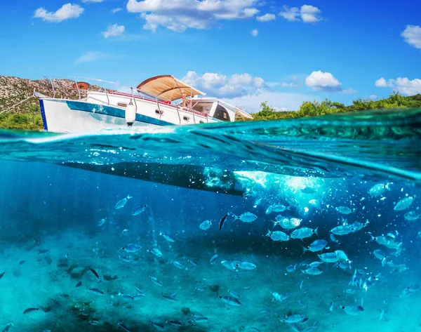 Split view - half underwater view of beautiful seabed with sea fishes and beautiful marine yacht, Turkey, Bodrum.