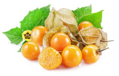 Ripe physalis or golden berry fruits with leaves and flower isolated on white background.