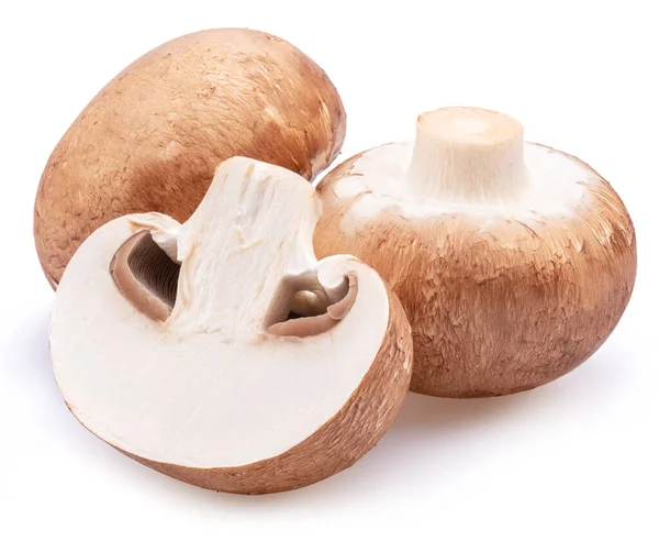 Brun Mössa Champinjoner Med Skiva Champignon Svamp Isolerad Vit Bakgrund — Stockfoto