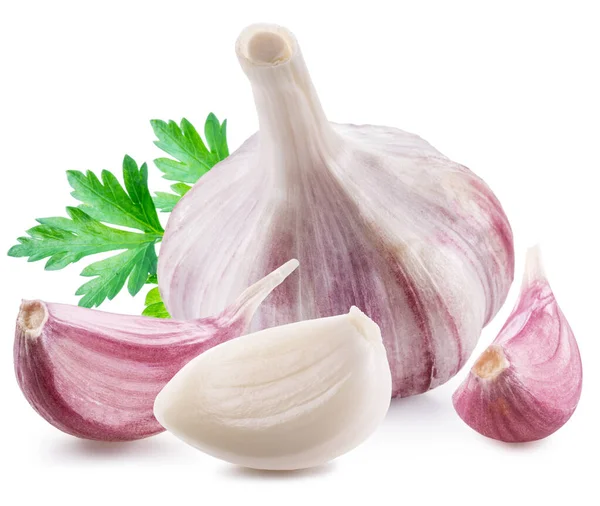 Kop Van Jonge Knoflook Met Knoflookteentjes Peterselieblad Geïsoleerd Witte Achtergrond — Stockfoto