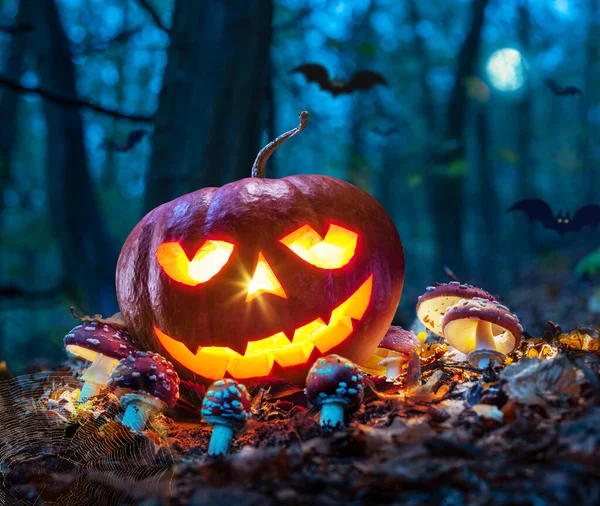 Carved pumpkins for Halloween jack-o'-lanterns with scary smiles to ward of evil spirits on mystery forest background.