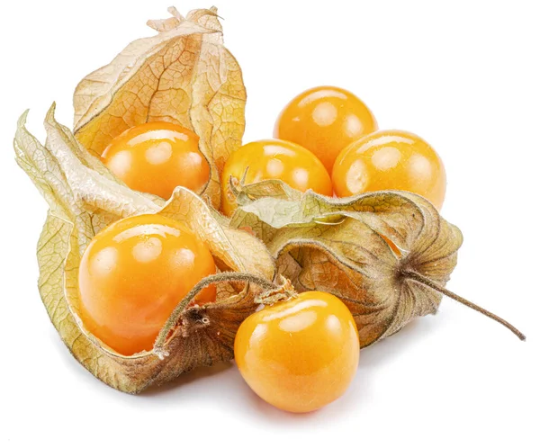 Mogna Physalis Eller Gyllene Bär Frukter Fodret Isolerad Vit Bakgrund — Stockfoto