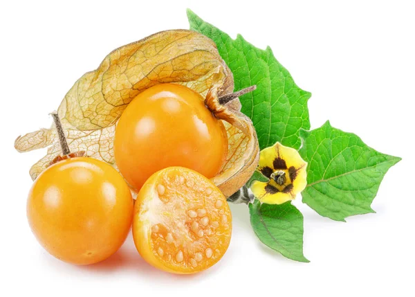 Ripe Physalis Golden Berry Fruits Leaves Flower Isolated White Background — Stock Photo, Image
