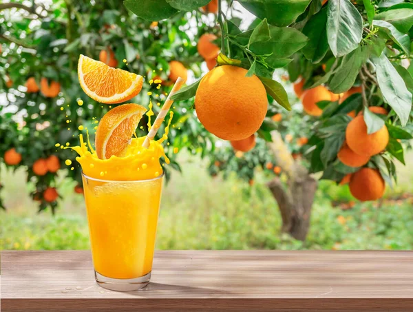 Vaso Zumo Naranja Con Salpicadura Naranja Sobre Mesa Madera Huerto —  Fotos de Stock