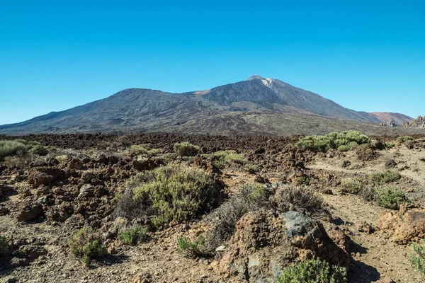 Paysage Unique Parc National Teide Vue Sur Pic Volcan Teide — Photo