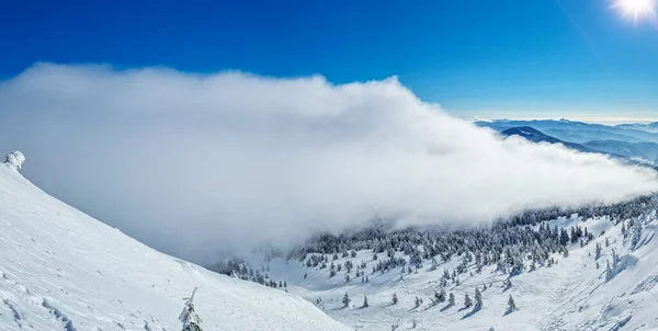 Bela Paisagem Inverno Ensolarado Nas Montanhas Montanha Abetos Cobertos Neve — Fotografia de Stock