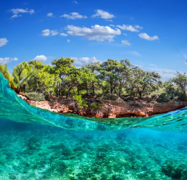Bölünmüş manzara - güzel deniz yatağı ve kayalık kıyı şeridinin yarısı çam ağaçları, Türkiye, Bodrum.