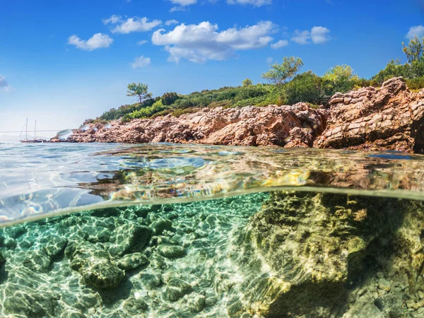 Rozdělený Výhled Polovodní Pohled Krásné Mořské Dno Skalnaté Pobřeží Borovicemi — Stock fotografie