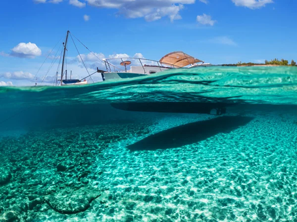 Split View Halb Unterwasserblick Auf Wunderschönen Meeresboden Mit Meeresfischen Und — Stockfoto