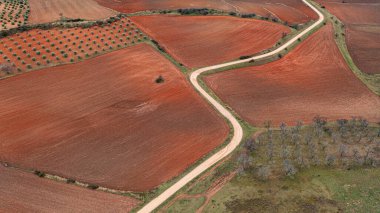 Tarlaları ve toprak yolu olan arazi, havadan çekilmiş fotoğraf.