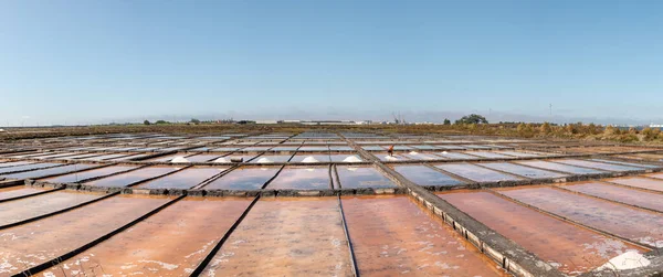 Worker in the salt ponds of Portugal in the daytime, man on his back, with rake to move the salt in the evaporation process