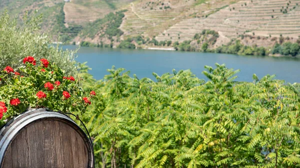 Barril Vinho Vinhas Nas Montanhas Douro Portugal — Fotografia de Stock