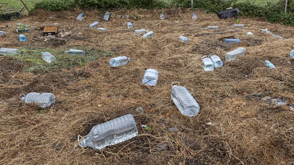 Plástico Jogado Meio Natureza Resíduos Tóxicos Recuperação Conceito Planeta — Fotografia de Stock