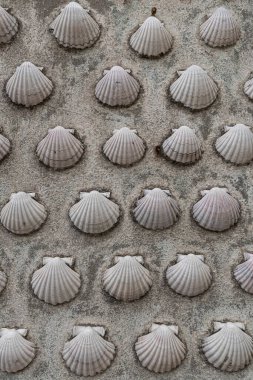 Saint James of Compostela 'nın deniz tarağı kabuğu sembolü