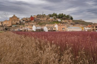 Wicker, Cuenca, İspanya 'daki Villaconejos de Trabaque' da toplanmak üzere ekildi.