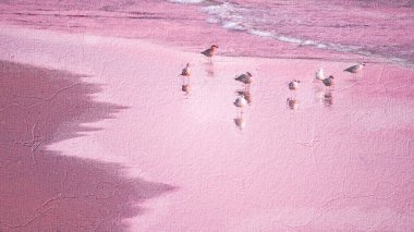 Şafak vakti dalgalar ve denizlere yansıyan martılarla kıyı, yağlı boya.