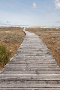 Sahile ve ufka giden yol, yol ve doğa. Bu ahşap kaldırım, zemin, yürüyüş yolu, patika ya da doğa ile yürüme yolu.