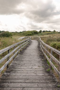 Sahile ve ufka giden yol, yol ve doğa. Bu ahşap kaldırım, zemin, yürüyüş yolu, patika ya da doğa ile yürüme yolu.