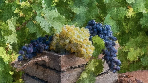 Bağış kutusunda üzüm bağları olan beyaz ve kırmızı üzümler, yağlı boya.