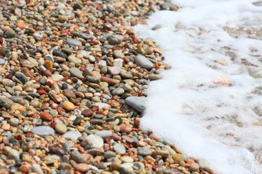 Deniz taşları arka plan